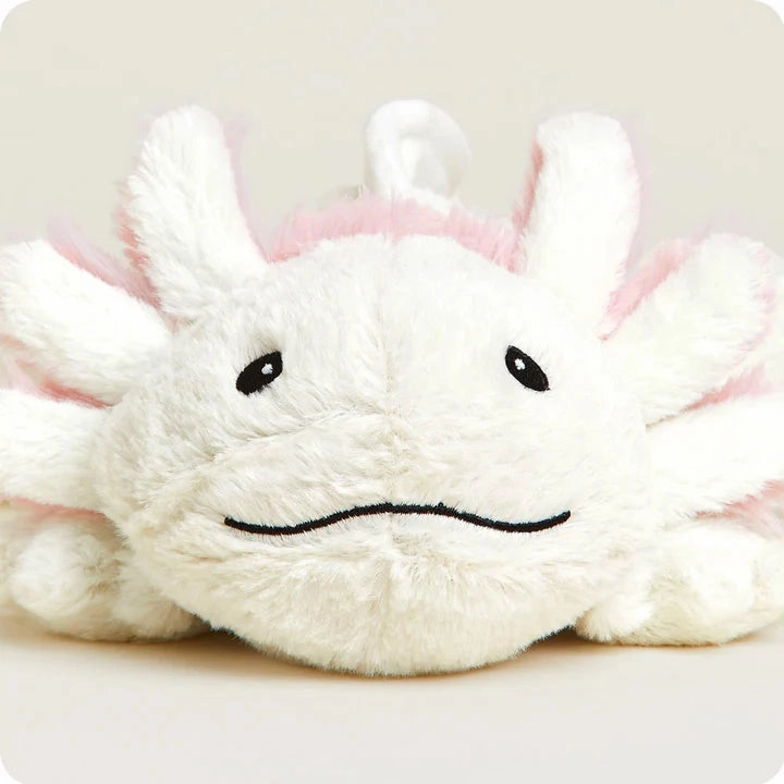 Axolotl