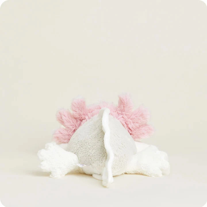 Axolotl