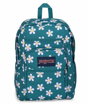 Big Student Backpack