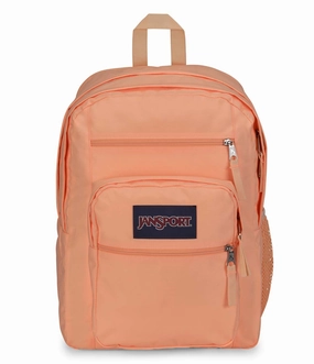 Big Student Backpack