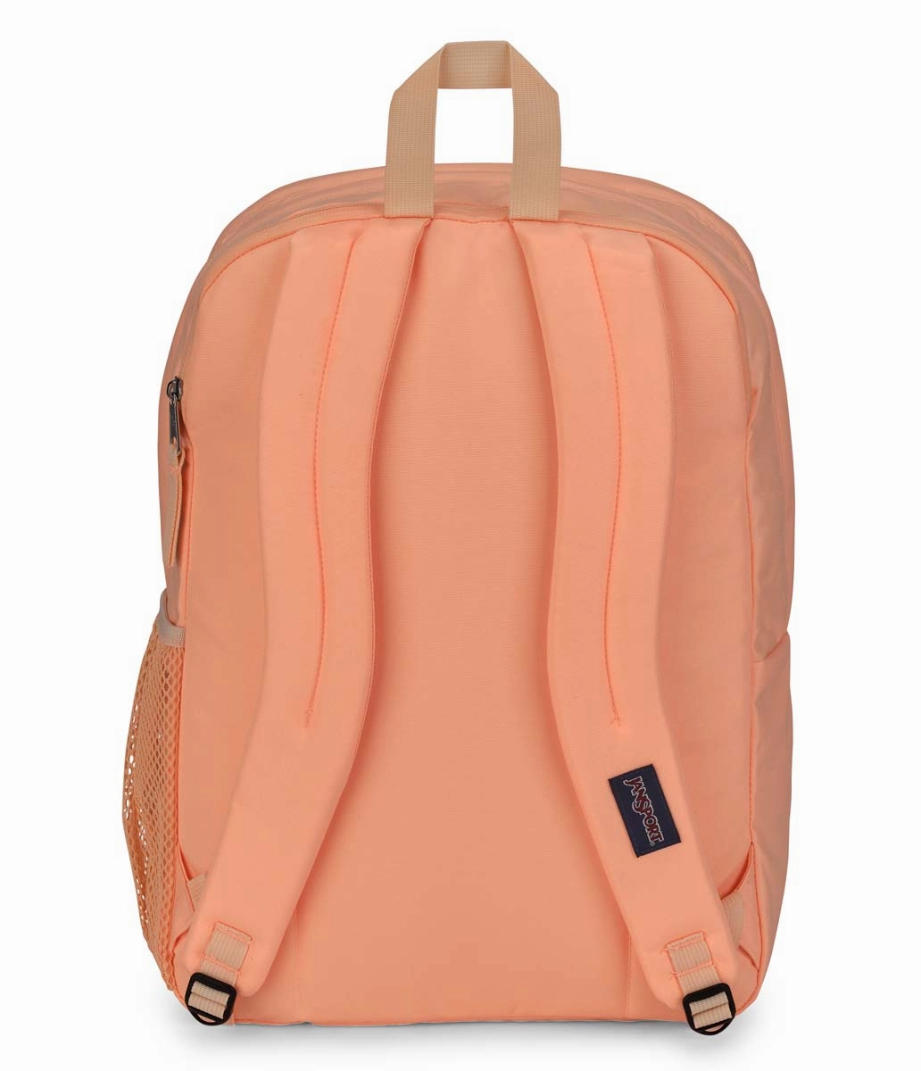 Big Student Backpack