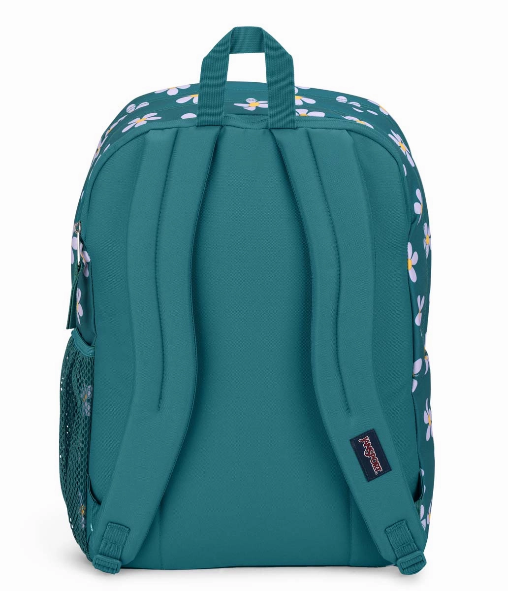Big Student Backpack