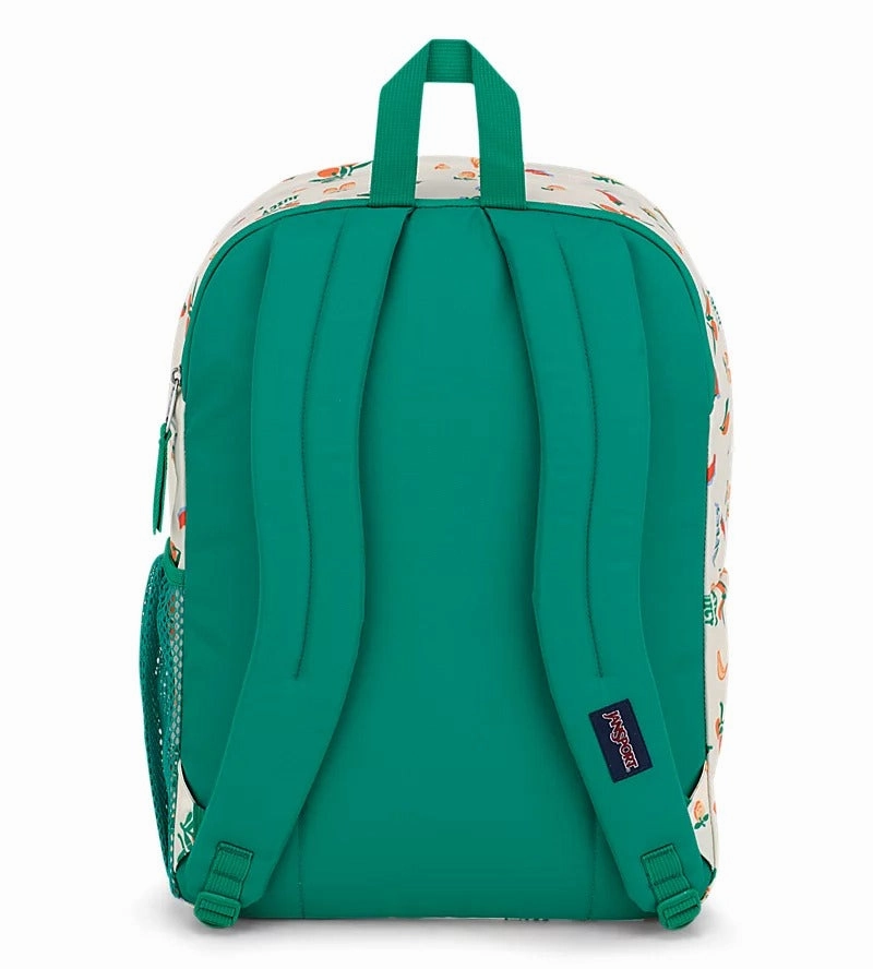 Big Student Backpack