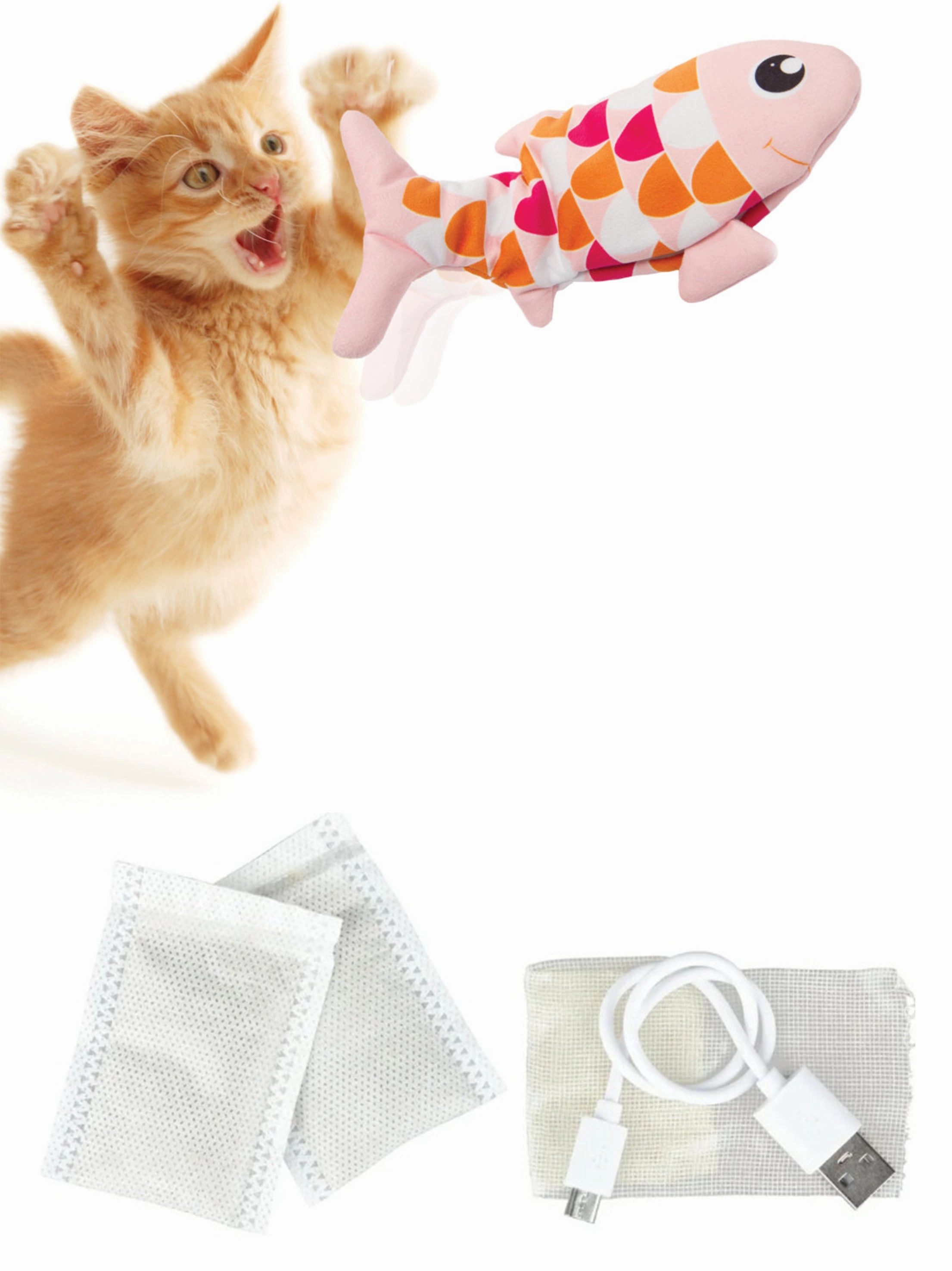 Cat Toy
