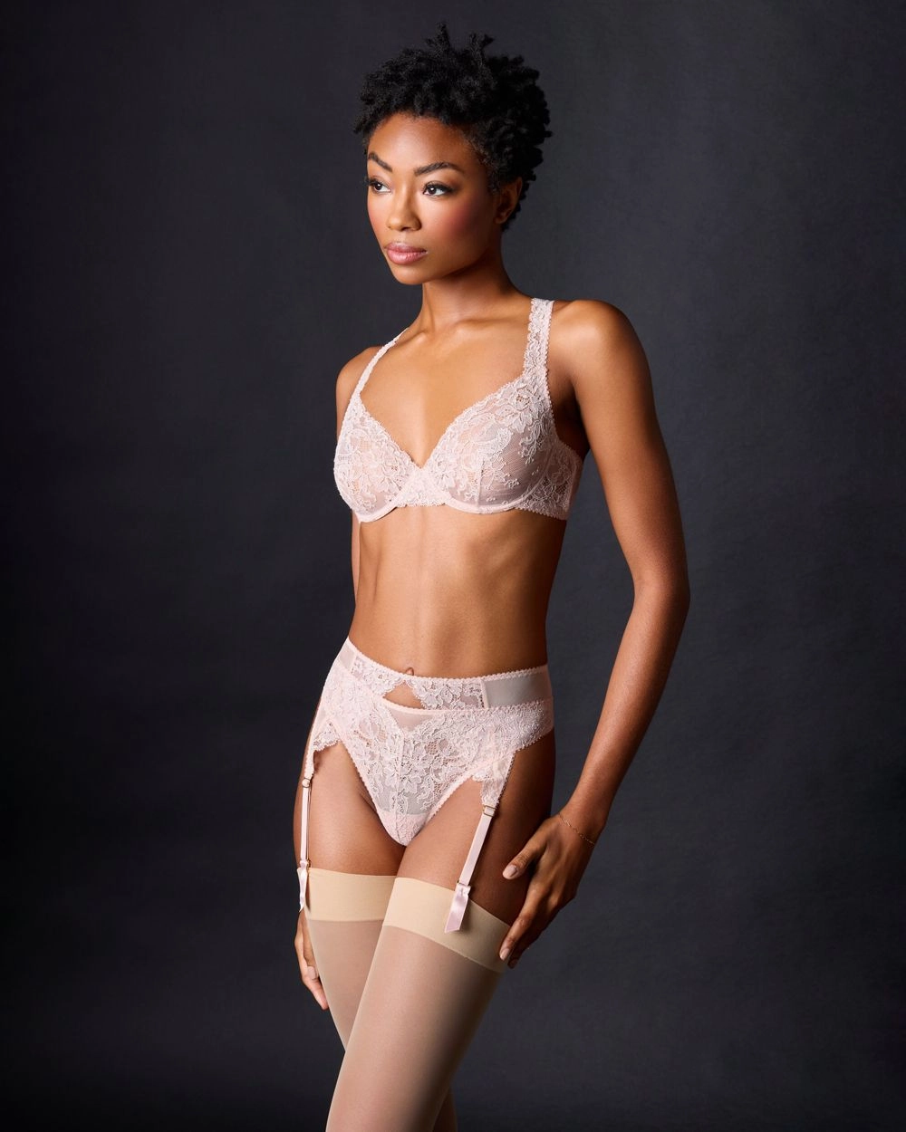 Chloe Suspender Belt