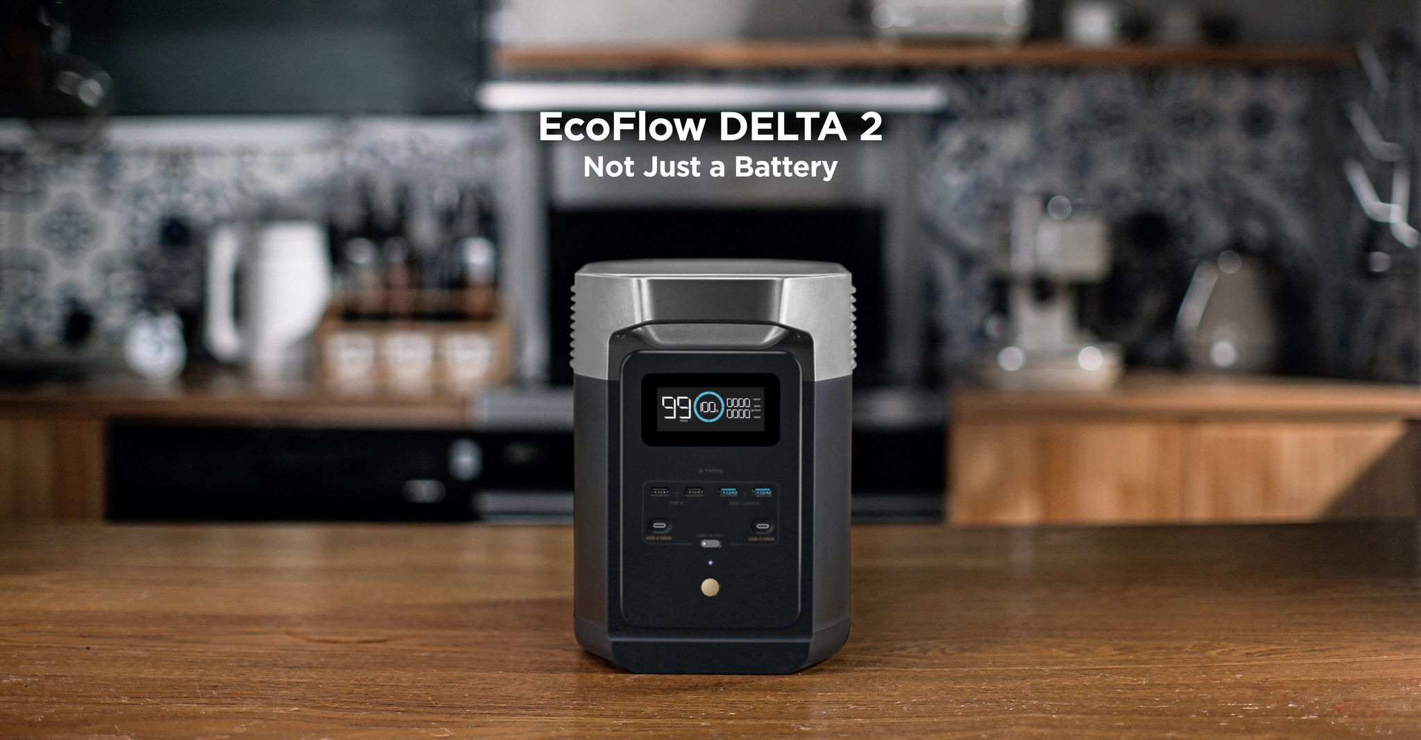 EcoFlow DELTA 2 Portable Power Station