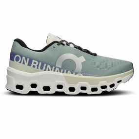 Mens On Running Cloudmonster 2