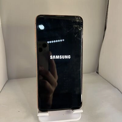 Samsung Galaxy S10e Flamingo Pink Unlocked